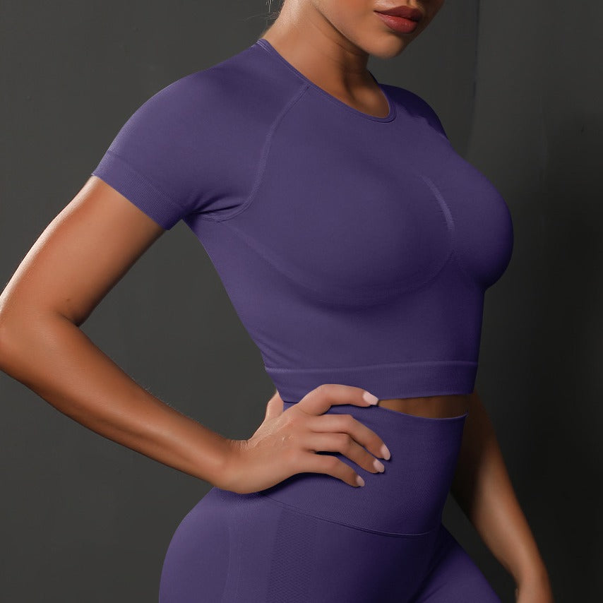 Seamless Contour Knit Short Sleeve Cropped Gym Tee