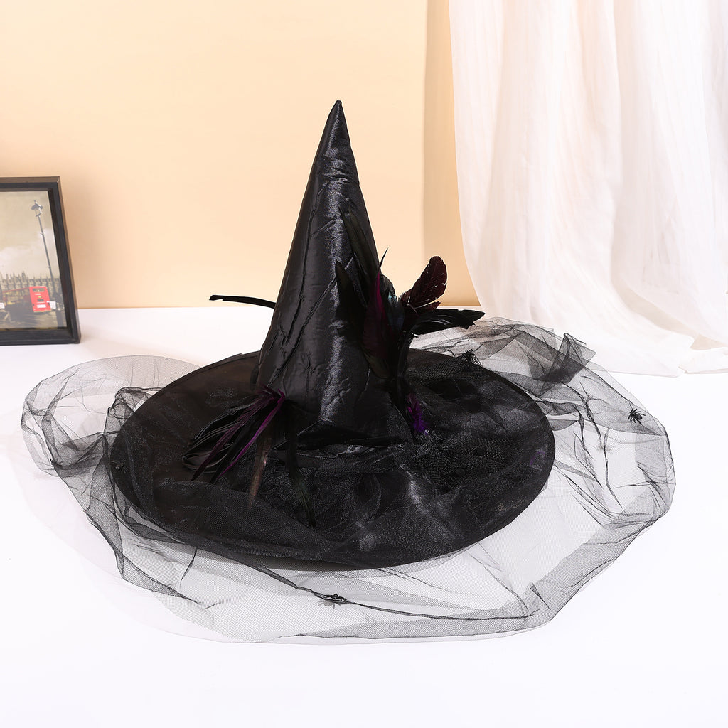 Draped Veil Witch Hat With Feather Trim - Black