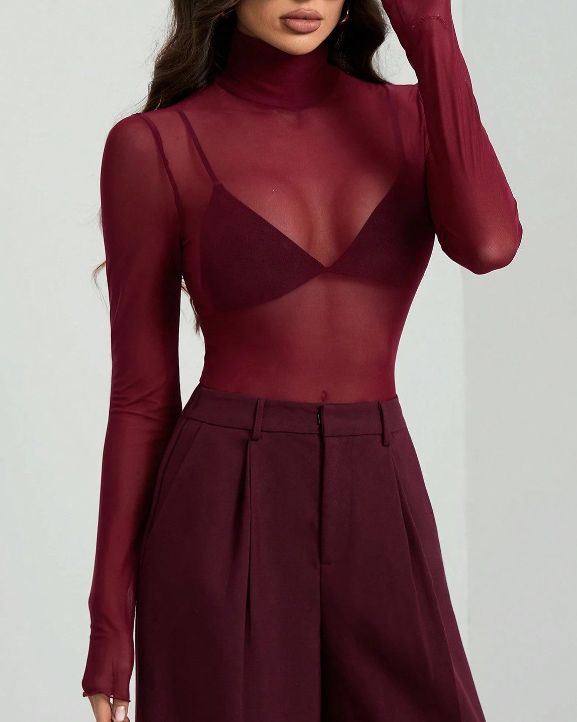 Sheer Mesh Turtleneck Slim Layering Top - Red