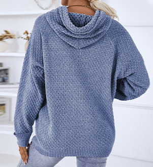 Textured Waffle Knit Pullover Hoodie - Blue - 4