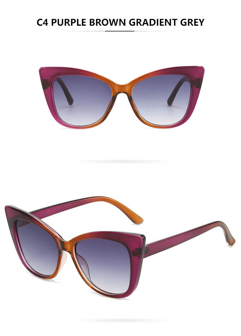 Colorblock Cat Eye Sunglasses - Purple