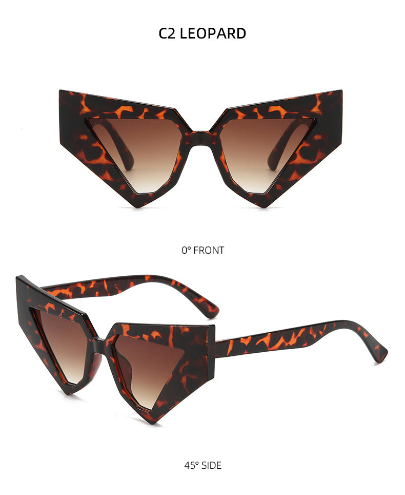 Angular Geometric Cat Eye Sunglasses - view 6
