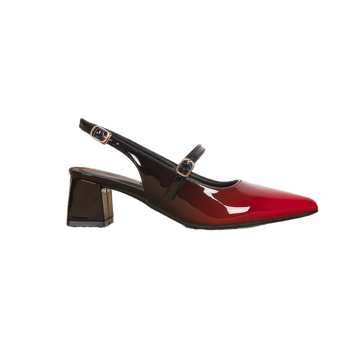 Ombre Patent Pointed Toe Slingback Block Heels