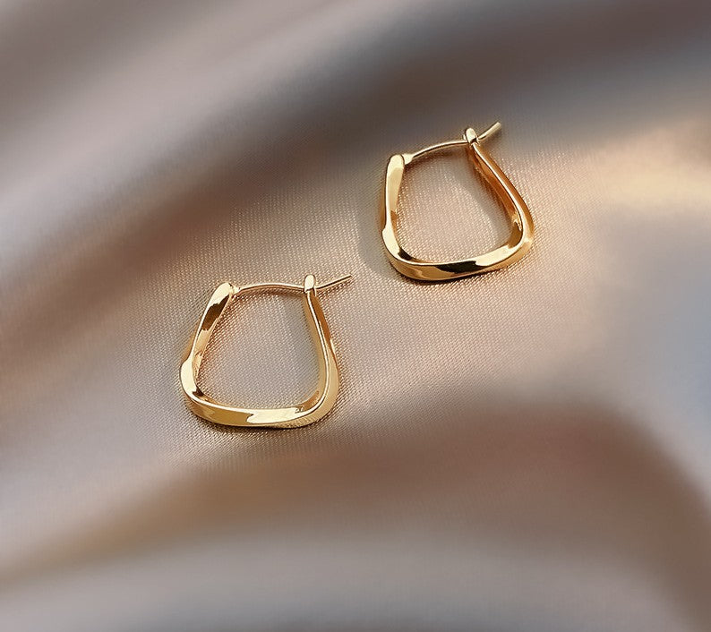 Sculptural Twisted Metal Hoop Earrings - NO04