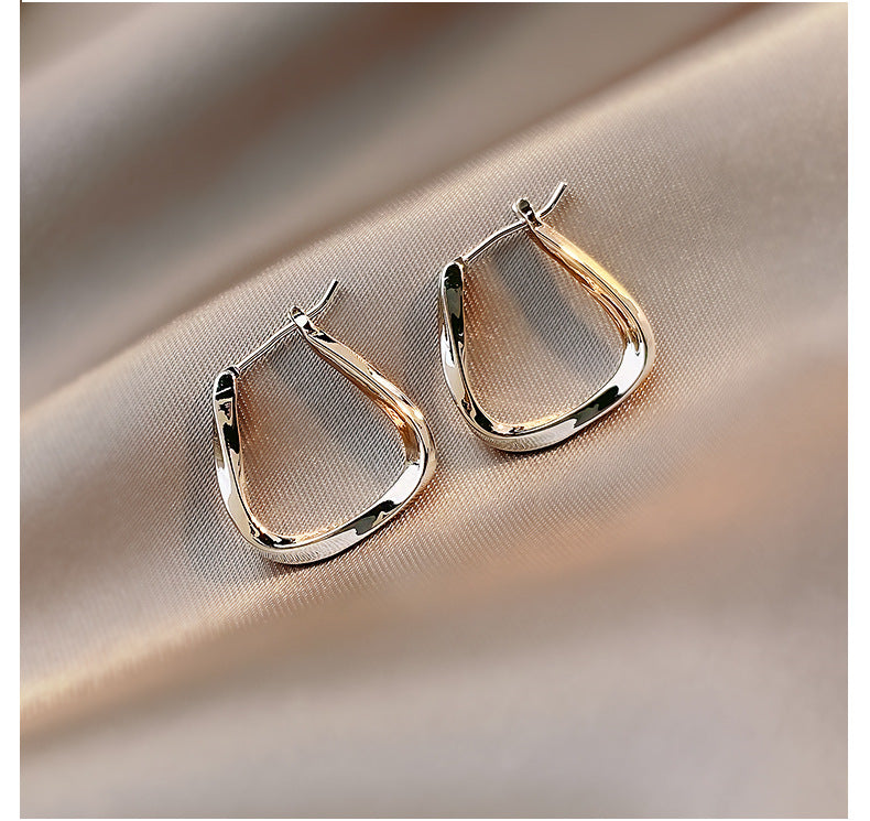 Sculptural Twisted Metal Hoop Earrings - NO10