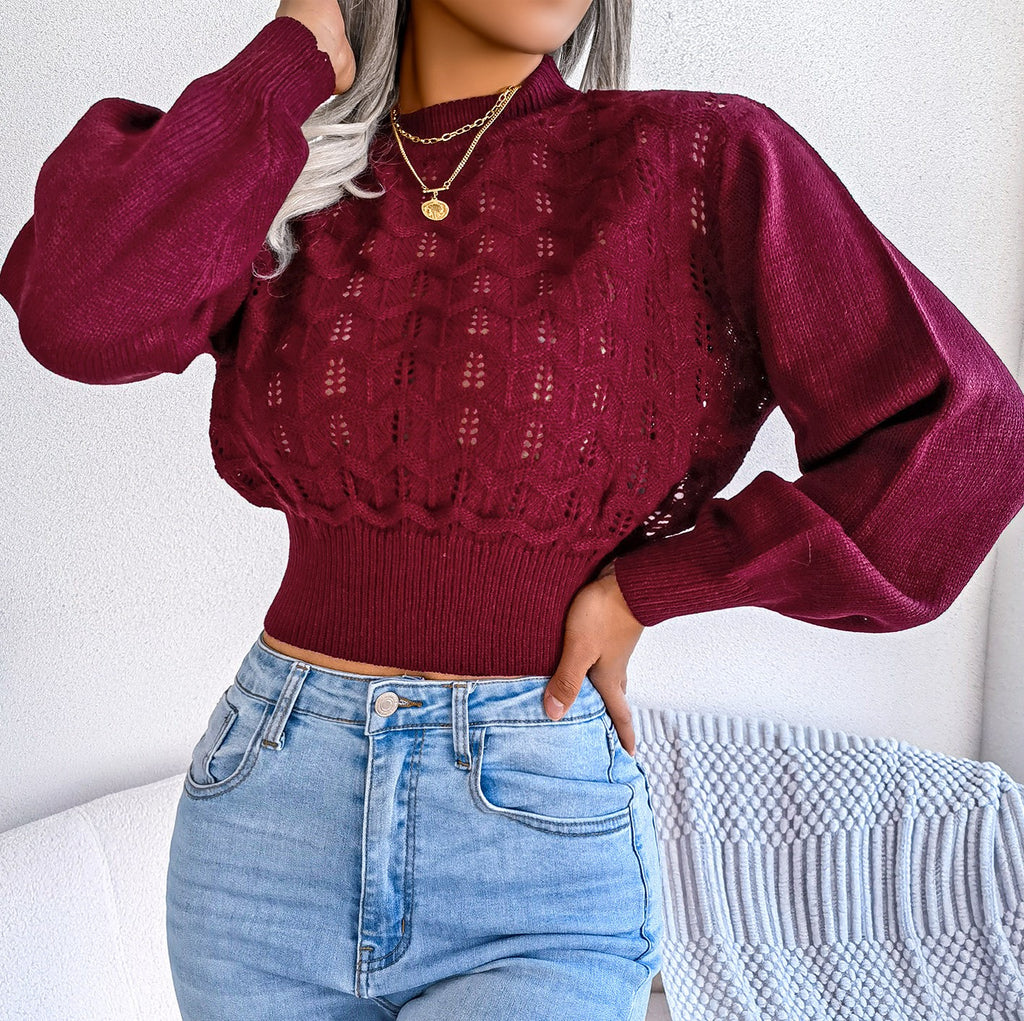 Pointelle Balloon Sleeve Cropped Knit Top - view 1