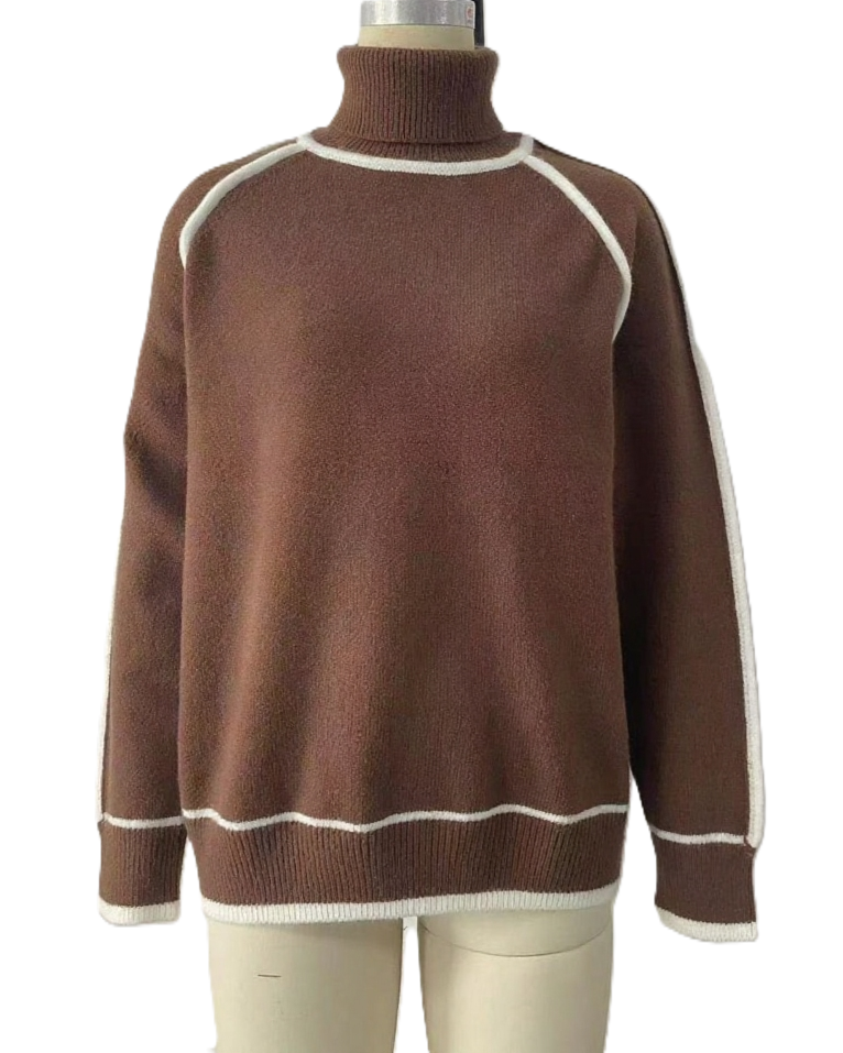 Color Block Trim Turtleneck Pullover Sweater - Brown