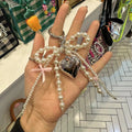 Beaded Pearl Bow Charm Keyring - NO01