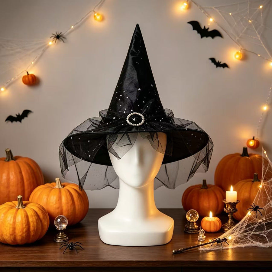 Pointed Witch Hat With Glitter Tulle Veil - Black