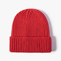 Chunky Ribbed Knit Cuffed Beanie - Color_1