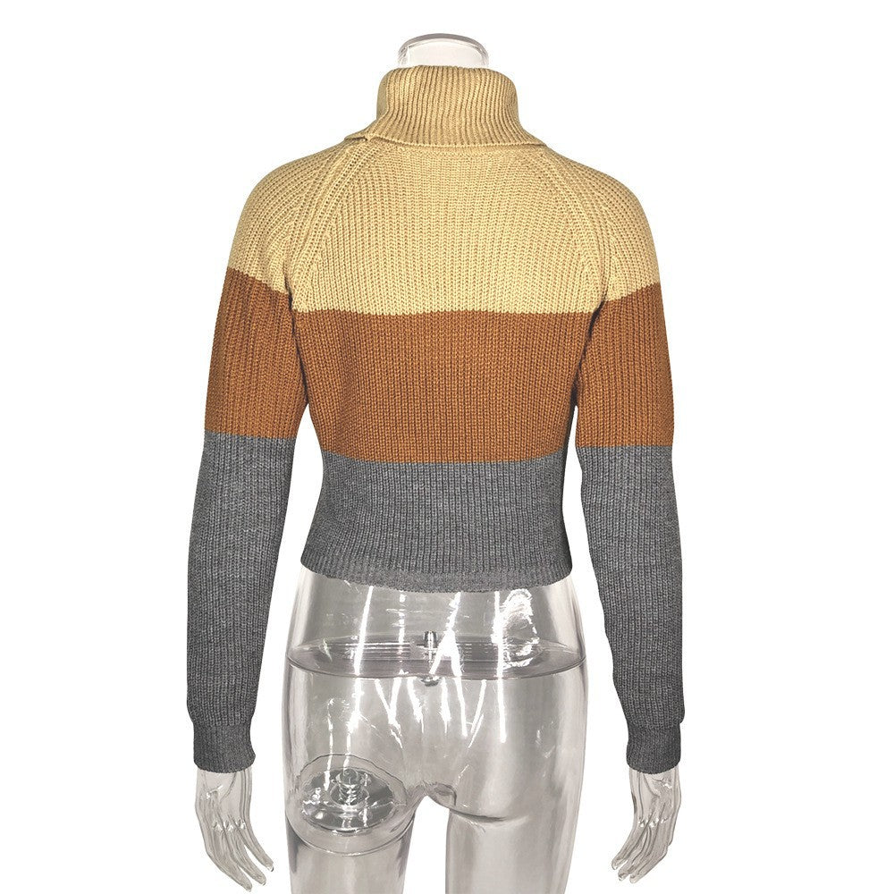 Cropped Turtleneck Knit Top With Color Block Stripes - Brown - 2