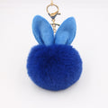 RoyalBlue