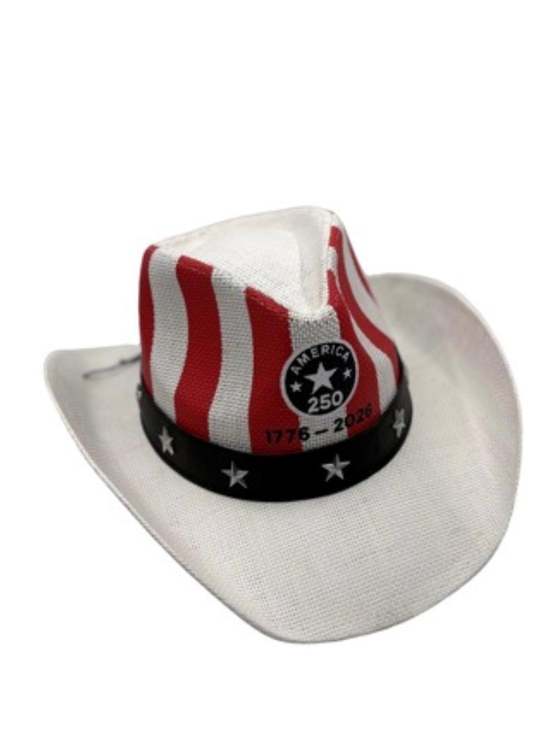 Patriotic American Flag Straw Cowboy Hat - White - 4