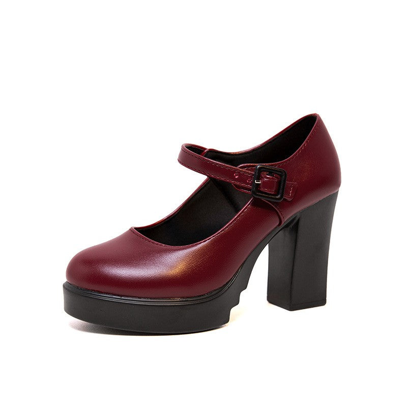 Platform Block Heel Mary Jane Pumps - Burgundy