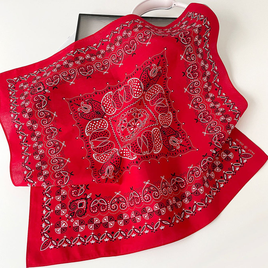 Paisley Bandana Square Neckerchief - view 4