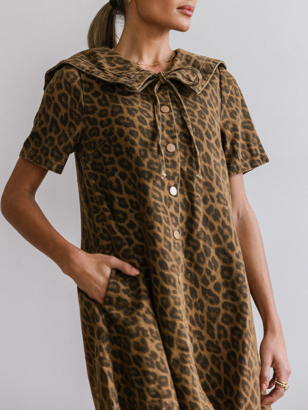 Animal Print Sailor Collar Swing Mini Dress - Brown