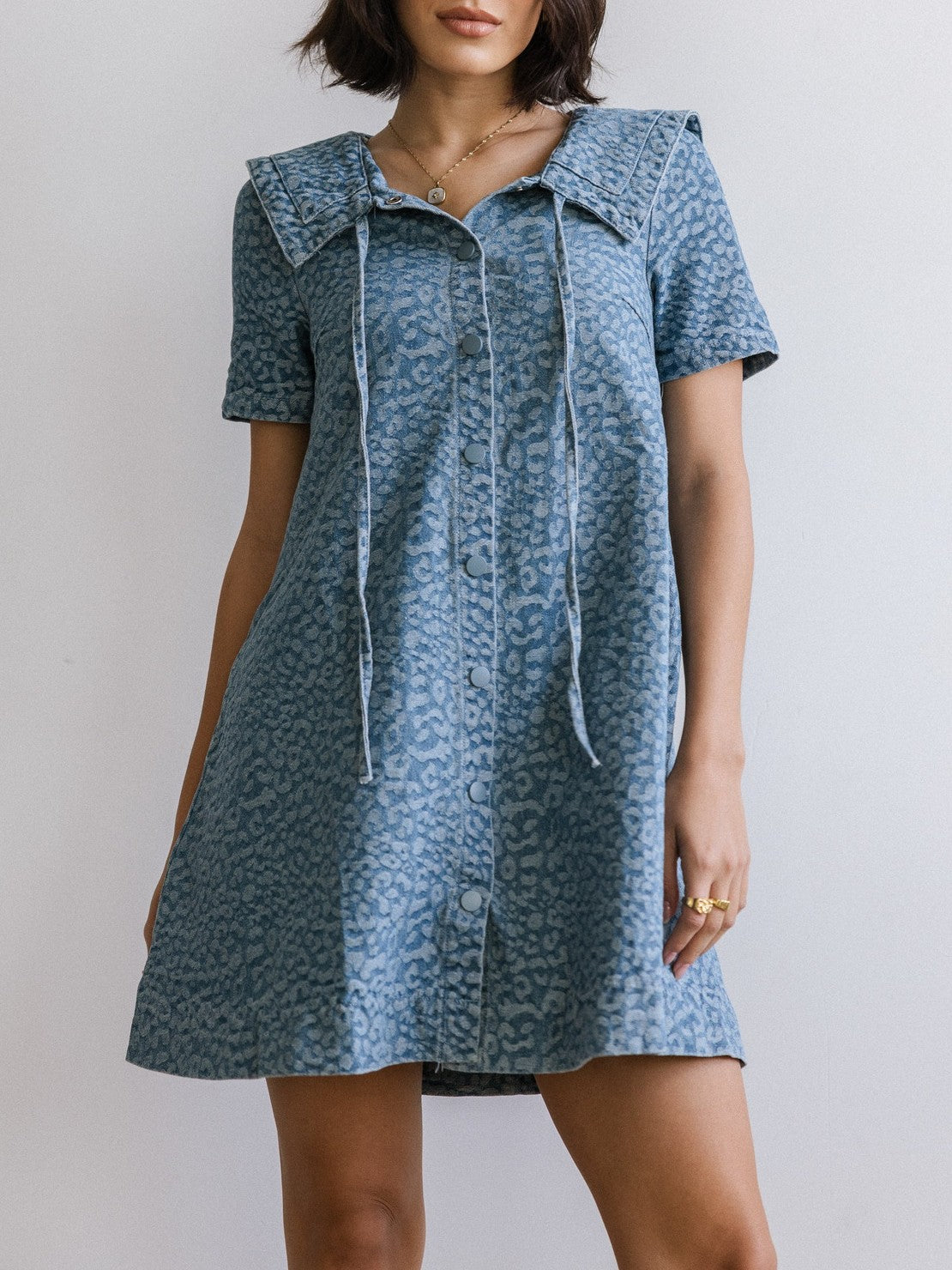 Animal Print Sailor Collar Swing Mini Dress