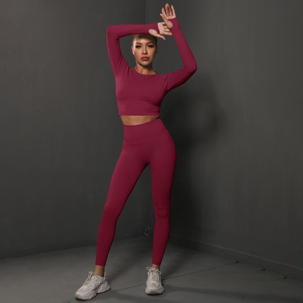Seamless Long Sleeve Crop Top and Leggings Gym Set