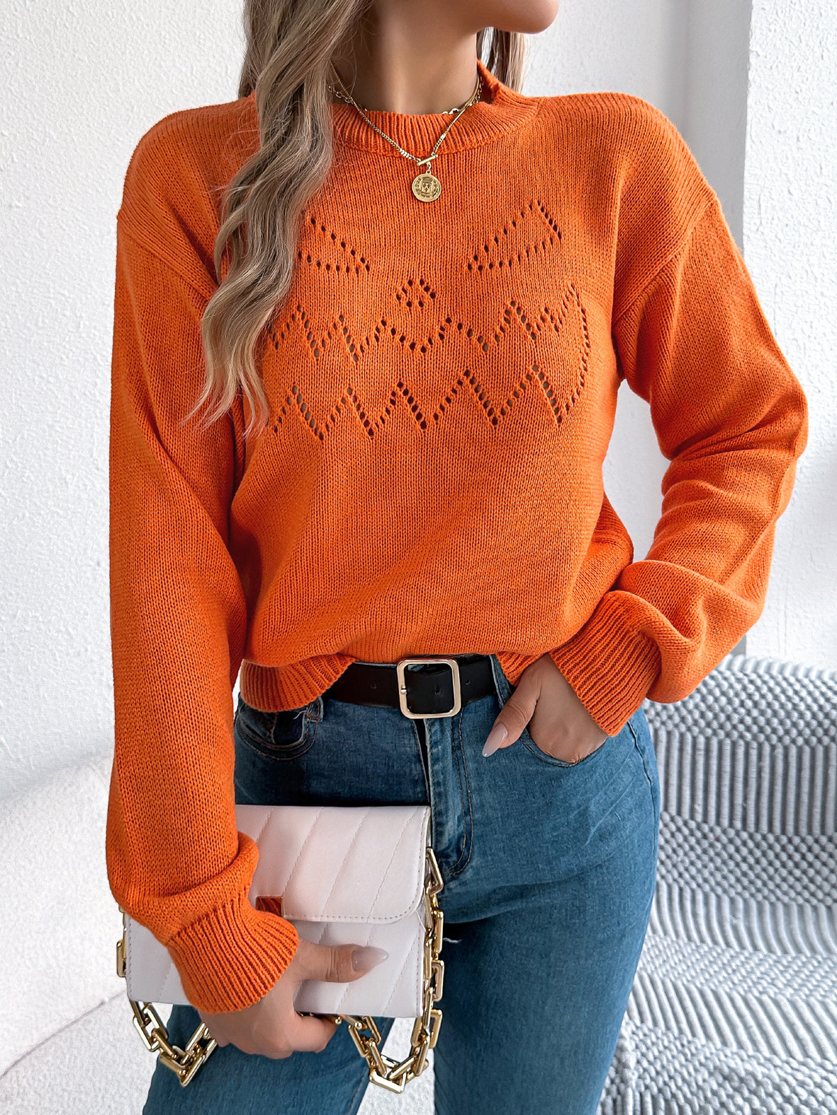 Pointelle Knit Lantern Sleeve Pullover Sweater