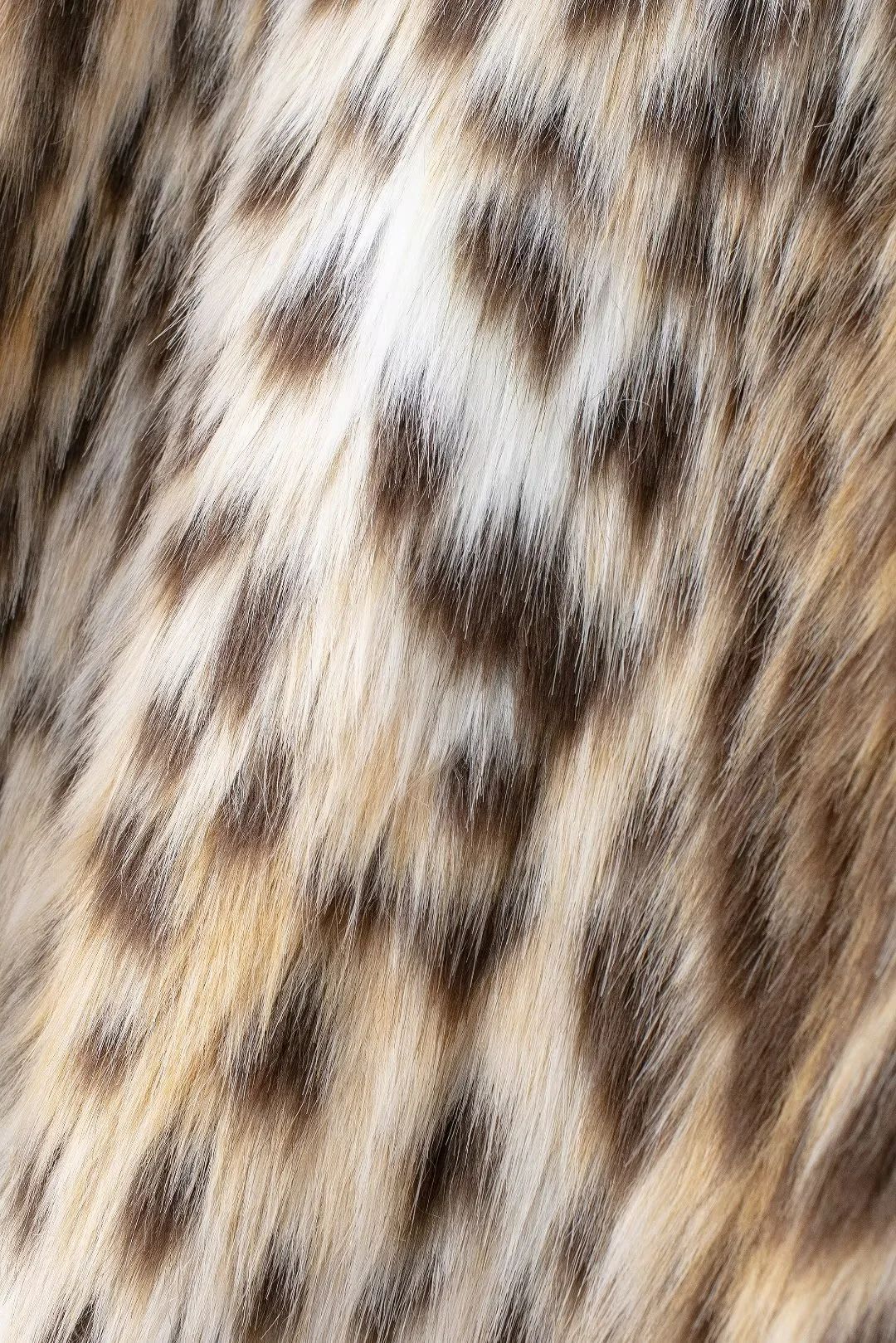 Leopard Faux Fur Notch Lapel Coat - Brown - 5