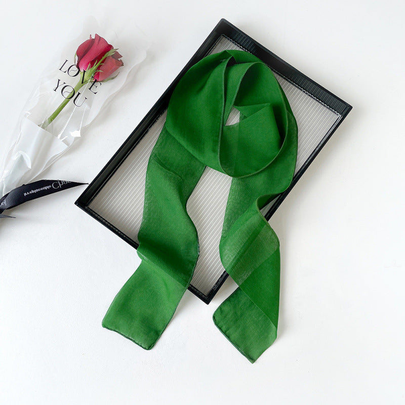 Lightweight Sheer Skinny Chiffon Neck Scarf - Color_08