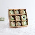 C4-9PCS