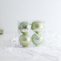 C6-4PCS