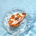 Clownfish
