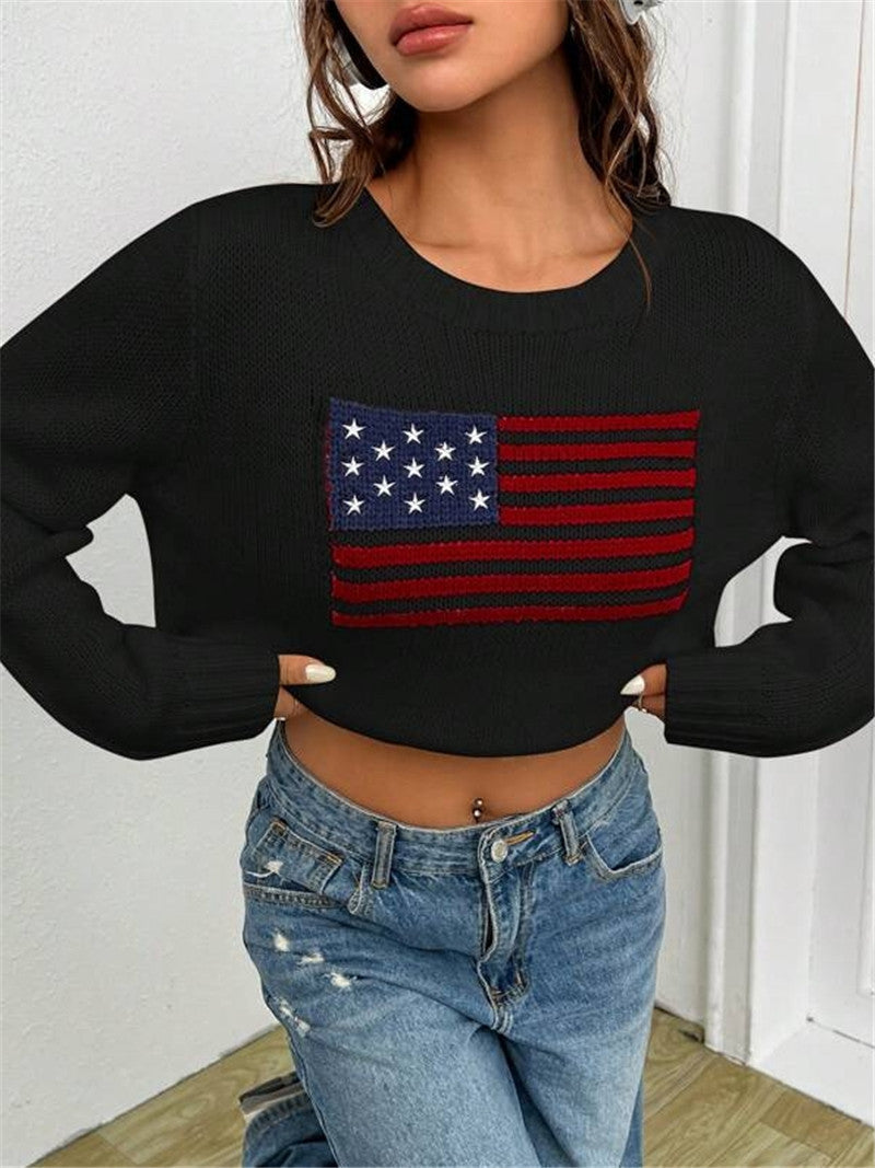 Flag Intarsia Crewneck Knit Sweater - Black - 3