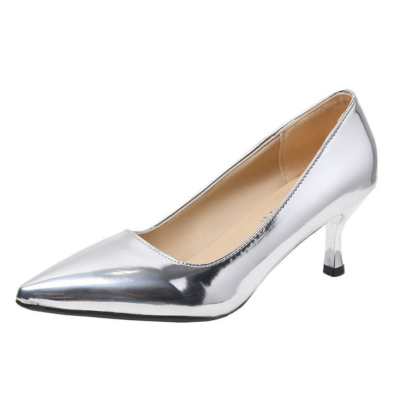 Metallic Pointed Toe Mid Heel Pumps